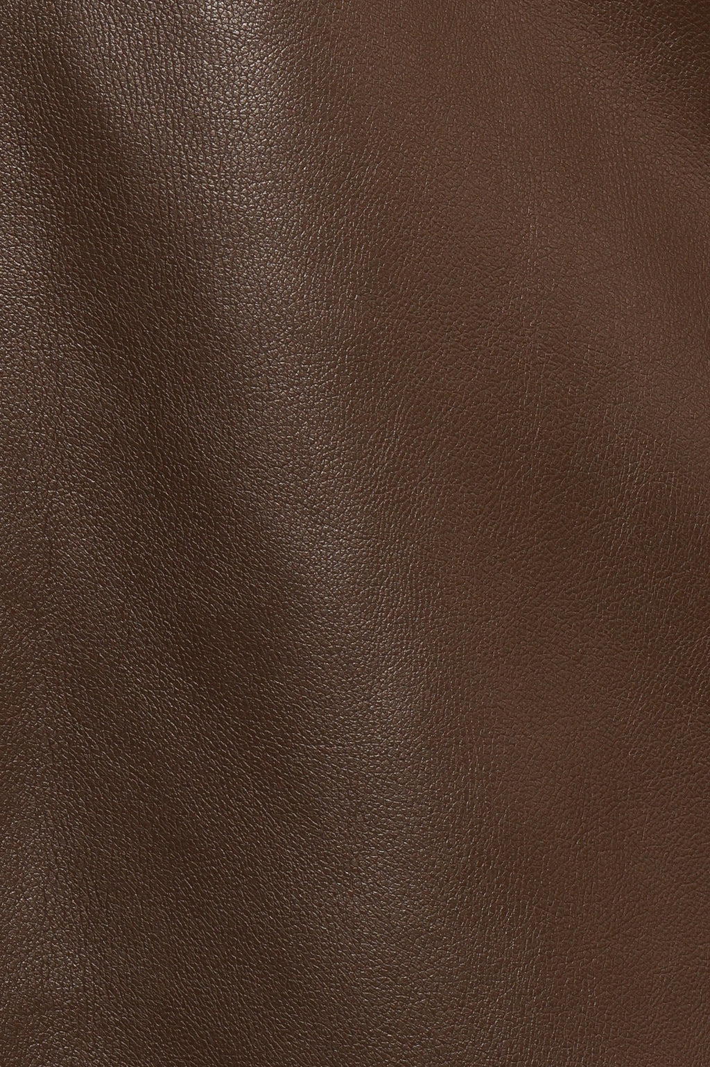 Haelee Faux Leather Skirt - Brown